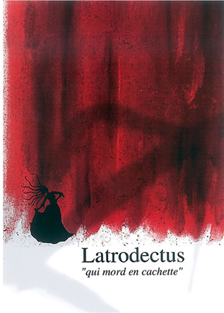 Latrodectus, che morde di nascosto